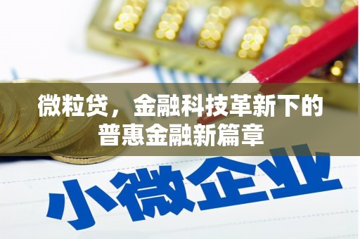 玛曲微粒贷，金融科技革新下的普惠金融新篇章