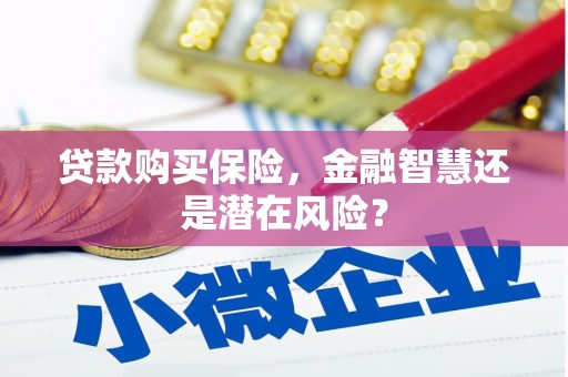 玛曲贷款购买保险，金融智慧还是潜在风险？