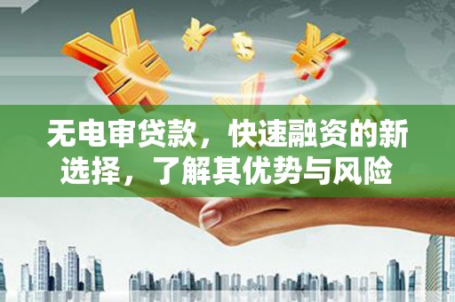 玛曲无电审贷款，快速融资的新选择，了解其优势与风险