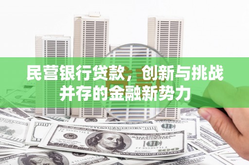 玛曲民营银行贷款，创新与挑战并存的金融新势力