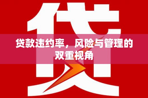 玛曲贷款违约率，风险与管理的双重视角