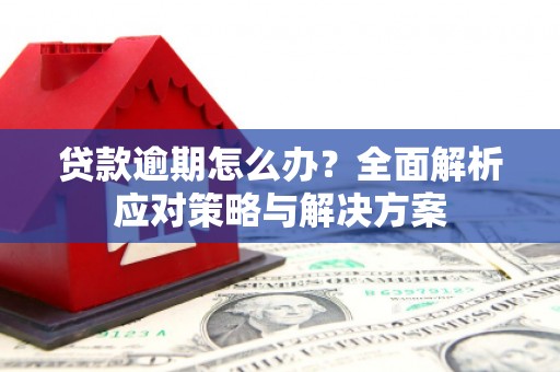 玛曲贷款逾期怎么办？全面解析应对策略与解决方案