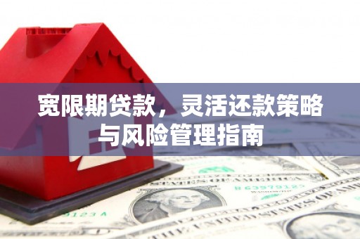 玛曲宽限期贷款，灵活还款策略与风险管理指南