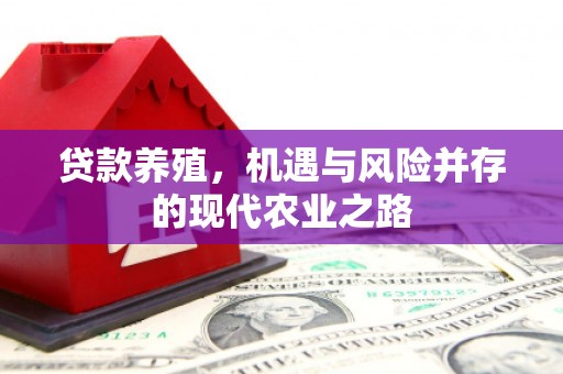 玛曲贷款养殖，机遇与风险并存的现代农业之路