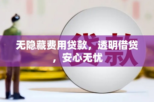 玛曲无隐藏费用贷款，透明借贷，安心无忧