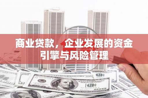 玛曲商业贷款，企业发展的资金引擎与风险管理