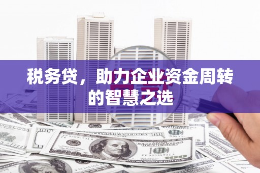 玛曲税务贷，助力企业资金周转的智慧之选
