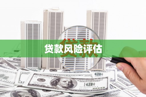 玛曲贷款风险评估