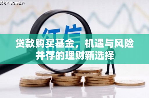 玛曲贷款购买基金，机遇与风险并存的理财新选择