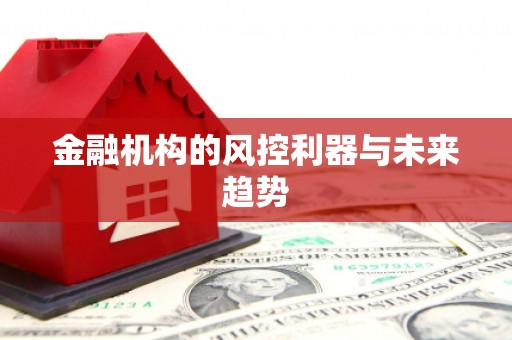 玛曲金融机构的风控利器与未来趋势