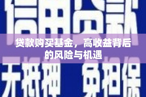 玛曲贷款购买基金，高收益背后的风险与机遇
