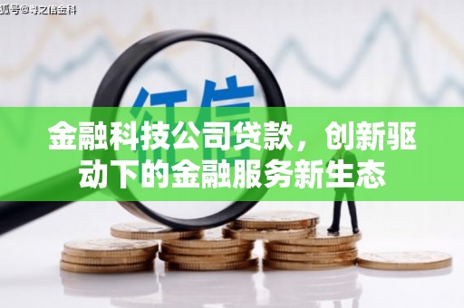 玛曲金融科技公司贷款，创新驱动下的金融服务新生态