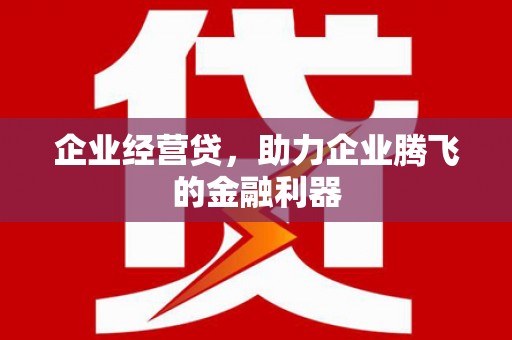 玛曲企业经营贷，助力企业腾飞的金融利器