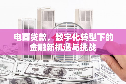 玛曲电商贷款，数字化转型下的金融新机遇与挑战