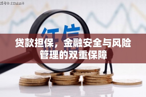 玛曲贷款担保，金融安全与风险管理的双重保障