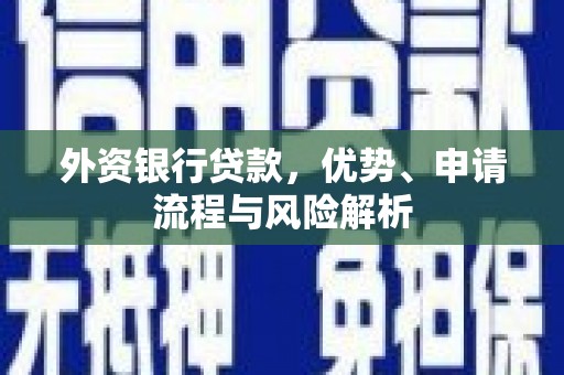 玛曲外资银行贷款，优势、申请流程与风险解析