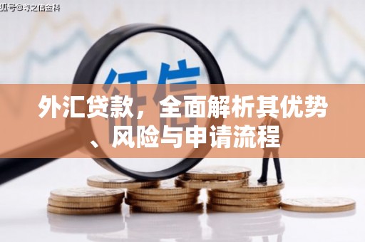 玛曲外汇贷款，全面解析其优势、风险与申请流程