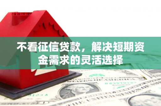 玛曲不看征信贷款，解决短期资金需求的灵活选择