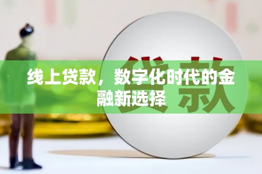 玛曲线上贷款，数字化时代的金融新选择