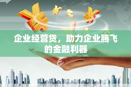 玛曲企业经营贷，助力企业腾飞的金融利器