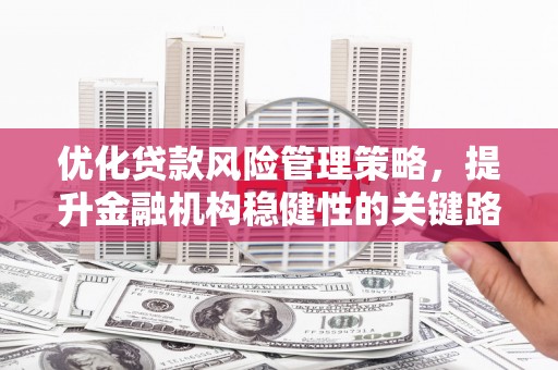 玛曲优化贷款风险管理策略，提升金融机构稳健性的关键路径