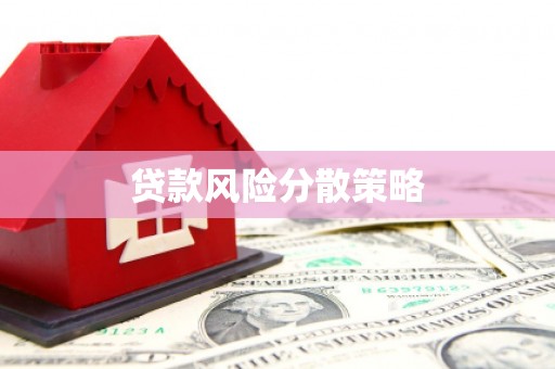 玛曲贷款风险分散策略
