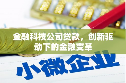 玛曲金融科技公司贷款，创新驱动下的金融变革