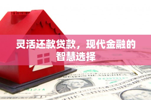 玛曲灵活还款贷款，现代金融的智慧选择