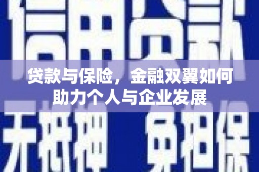 玛曲贷款与保险，金融双翼如何助力个人与企业发展