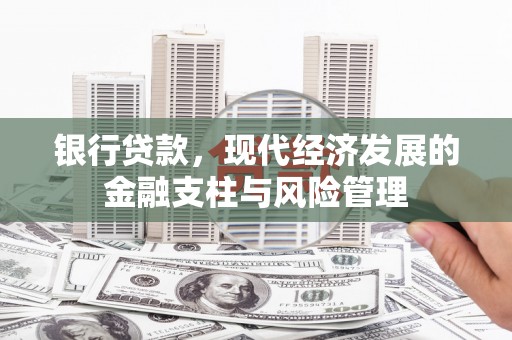 玛曲银行贷款，现代经济发展的金融支柱与风险管理