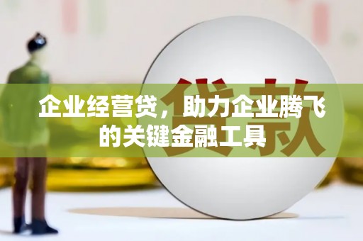 玛曲企业经营贷，助力企业腾飞的关键金融工具