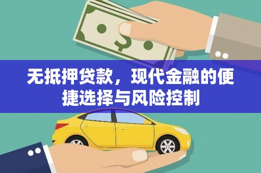 玛曲无抵押贷款，现代金融的便捷选择与风险控制