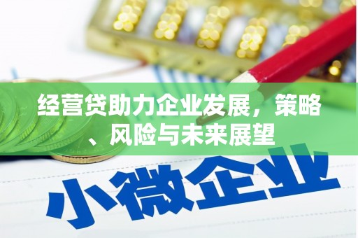 玛曲经营贷助力企业发展，策略、风险与未来展望