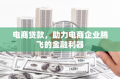 玛曲电商贷款，助力电商企业腾飞的金融利器