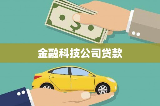 玛曲金融科技公司贷款