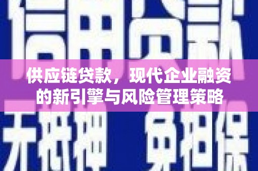 玛曲供应链贷款，现代企业融资的新引擎与风险管理策略