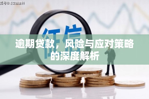 玛曲逾期贷款，风险与应对策略的深度解析