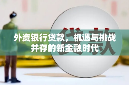 玛曲外资银行贷款，机遇与挑战并存的新金融时代