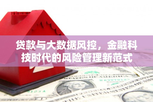 玛曲贷款与大数据风控，金融科技时代的风险管理新范式