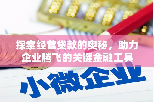 玛曲探索经营贷款的奥秘，助力企业腾飞的关键金融工具
