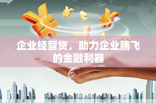 玛曲企业经营贷，助力企业腾飞的金融利器