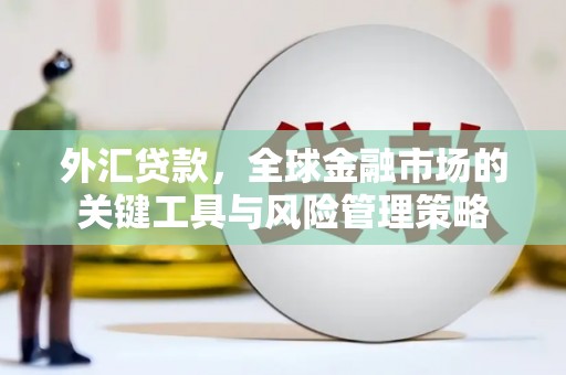 玛曲外汇贷款，全球金融市场的关键工具与风险管理策略