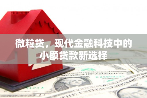 玛曲微粒贷，现代金融科技中的小额贷款新选择