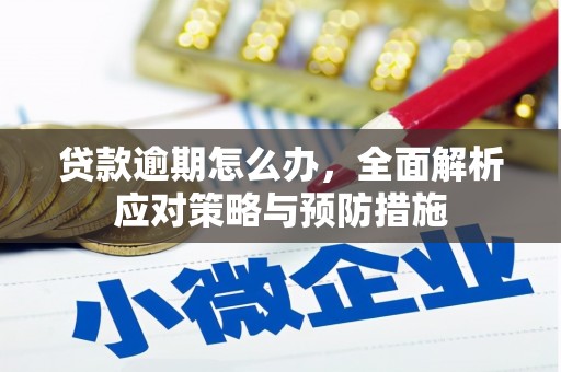 玛曲贷款逾期怎么办，全面解析应对策略与预防措施