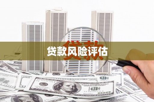 玛曲贷款风险评估