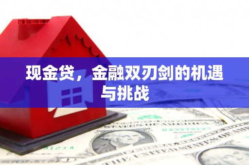玛曲现金贷，金融双刃剑的机遇与挑战