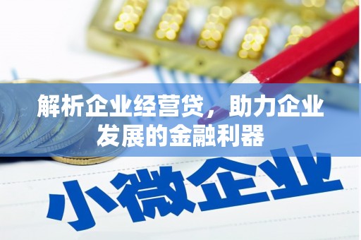 玛曲解析企业经营贷，助力企业发展的金融利器