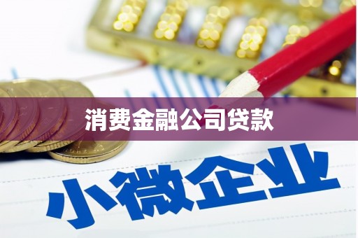 玛曲消费金融公司贷款