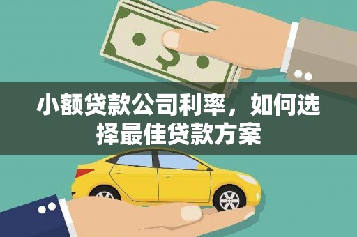 玛曲小额贷款公司利率，如何选择最佳贷款方案
