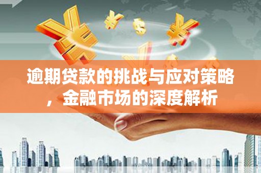 玛曲逾期贷款的挑战与应对策略，金融市场的深度解析